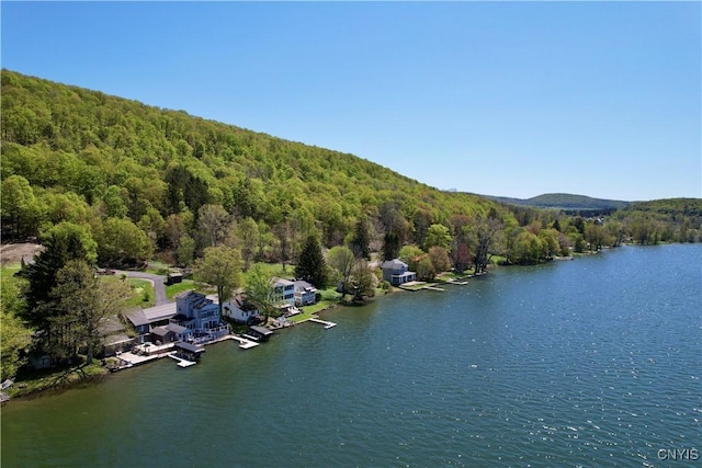 177 E Lake Rd, Deruyter, NY 13052 - aerial view of a heavily wooded area and a large body of water
