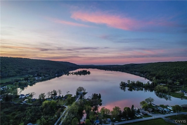 177 E Lake Rd, Deruyter, NY 13052 - water view with a heavily wooded area