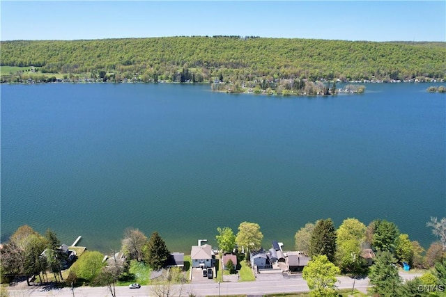 177 E Lake Rd, Deruyter, NY 13052 - aerial view of a heavily wooded area and a nearby body of water