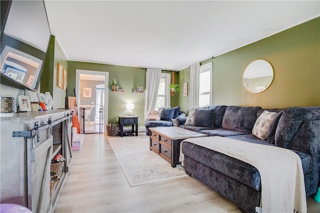 48 Division St, Maryland, NY 12155 - living room with light wood-type flooring and crown molding