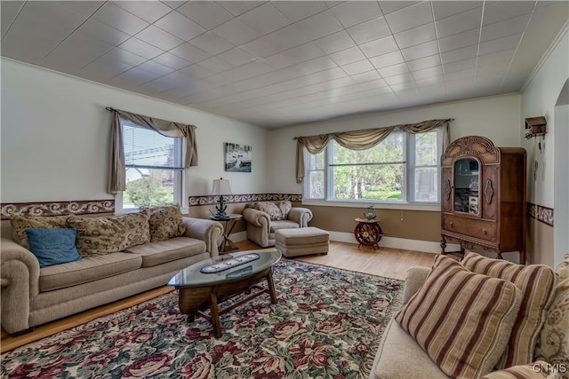 living room featuring wood finished floors and baseboards