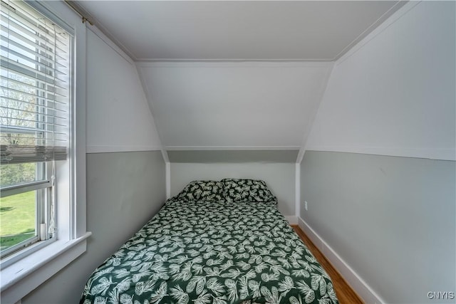bedroom featuring multiple windows and wood finished floors