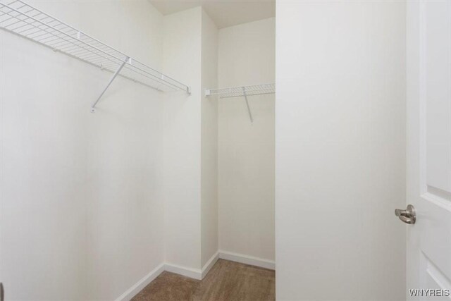 694 Pleasant View Dr, Lancaster, NY 14086 - walk in closet with light carpet