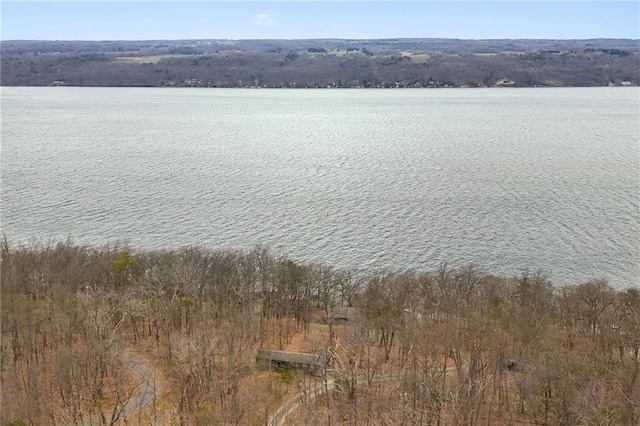 4308 Masternardi Rd, Hector, NY 14818 - aerial view of a large body of water