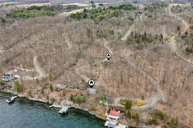 4308 Masternardi Rd, Hector, NY 14818 - drone / aerial view of a large body of water