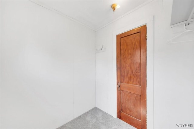 111 Roesch Ave, Buffalo, NY 14207 - view of entrance to property