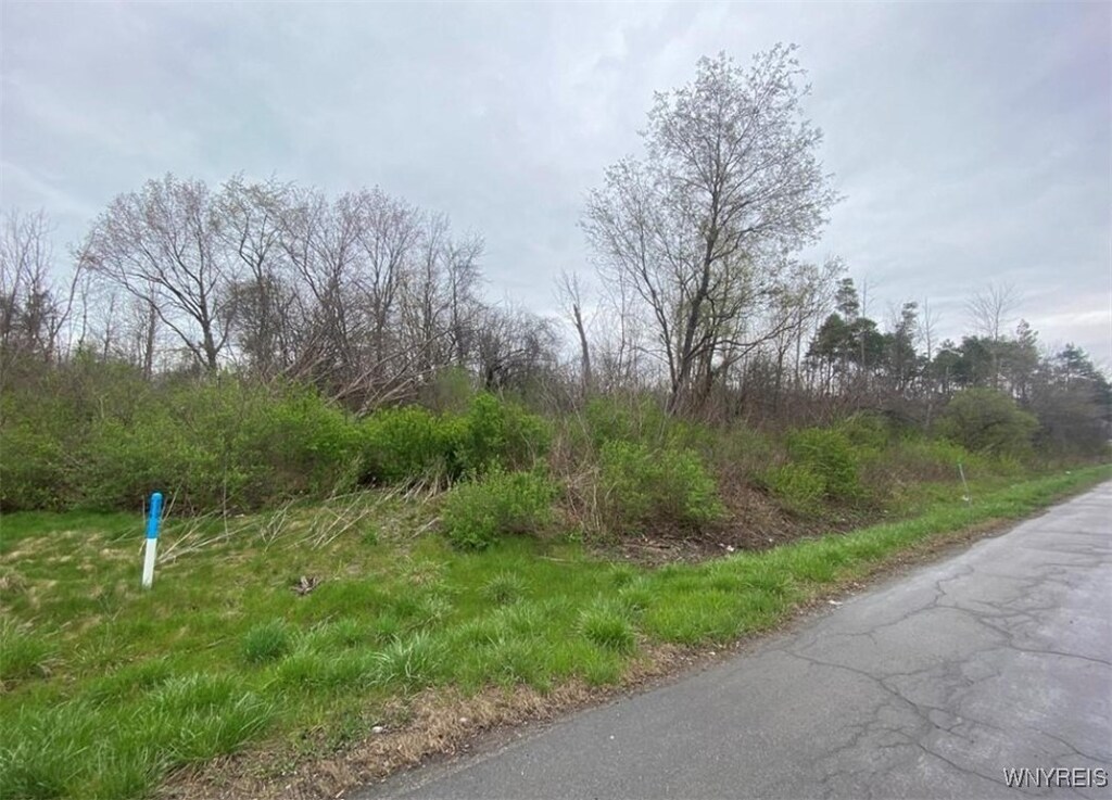 VL Lake Shore Rd, Hamburg, NY 14085 - photo 1