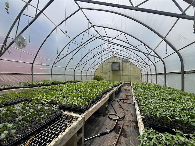 exterior view of a vegetable garden