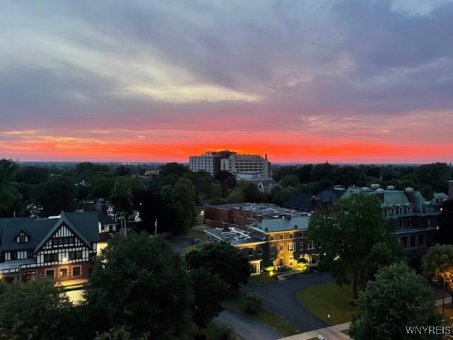 849 Delaware Ave Unit 305, Buffalo, NY 14209 - view of aerial view at dusk