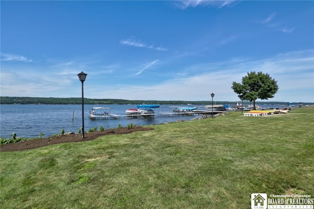 18 W Terrace Ave, Busti, NY 14750 - photo 40