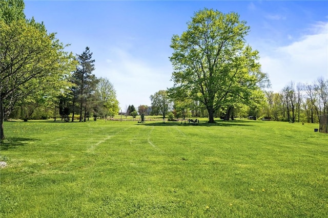 view of home's community with a lawn