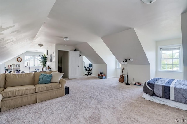 210 Funnycide Dr, Hounsfield, NY 13685 - carpeted bedroom featuring lofted ceiling and multiple windows