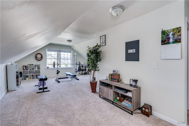 210 Funnycide Dr, Hounsfield, NY 13685 - workout room featuring carpet flooring, vaulted ceiling, and baseboards