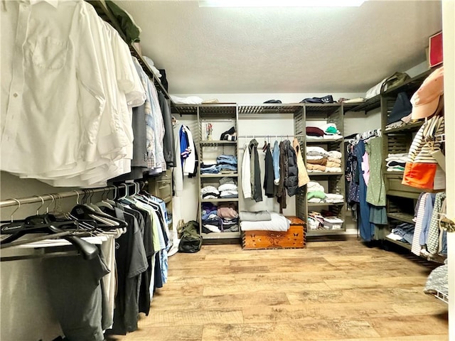 214 Fairfield Dr, Horseheads, NY 14845 - spacious closet with light wood-style flooring