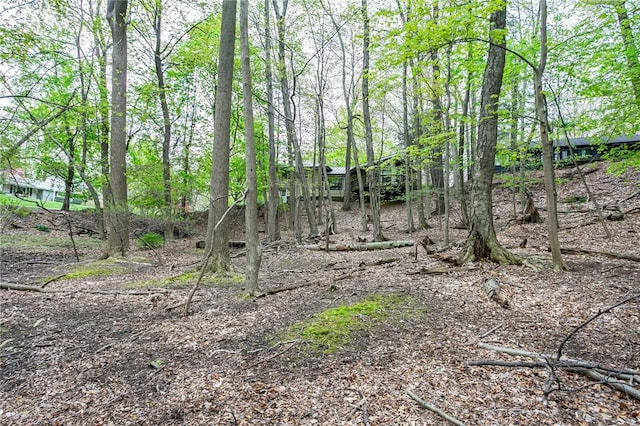 view of undeveloped land