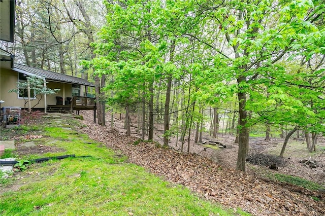 view of yard