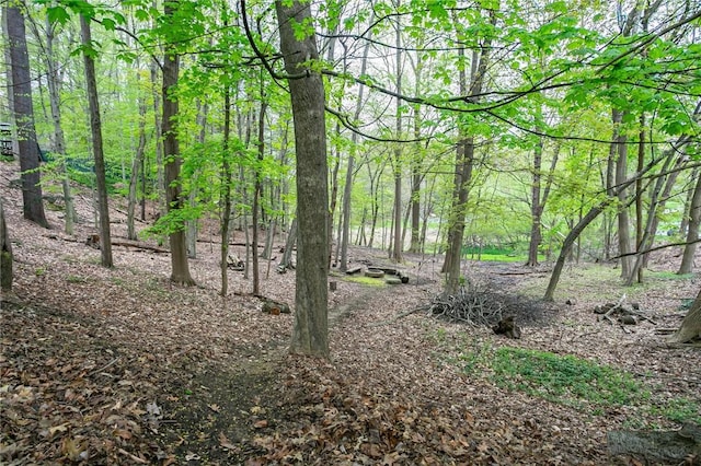 view of tree filled area