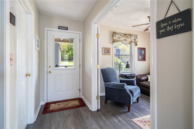 483 Indian Cv, Moravia, NY 13118 - doorway with healthy amount of natural light, dark wood finished floors, ceiling fan, and baseboards