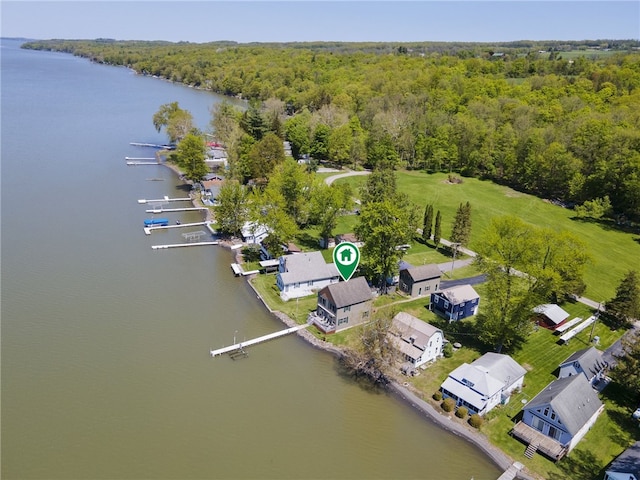 483 Indian Cv, Moravia, NY 13118 - aerial overview of property's location with a heavily wooded area and a nearby body of water