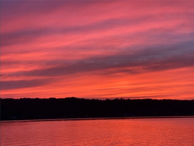 483 Indian Cv, Moravia, NY 13118 - water view