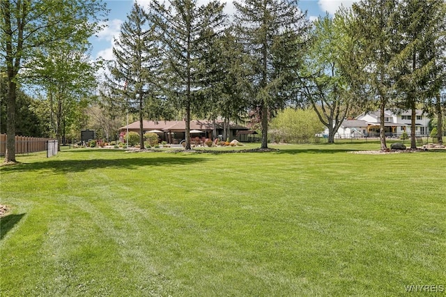 view of yard
