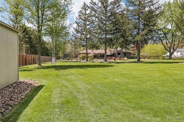 view of yard