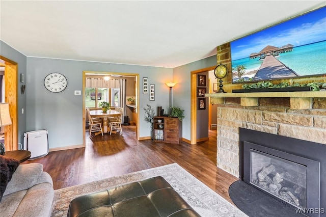 living area featuring wood finished floors, baseboards, and a fireplace