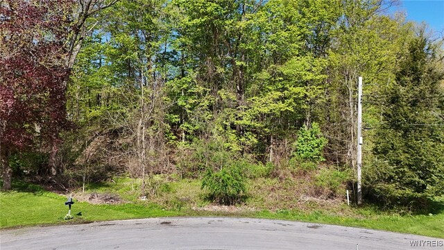 VL Back Creek Dr, Boston, NY 14025