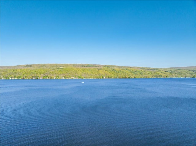 5717 Sunset Dr, Canadice, NY 14471 - photo 44