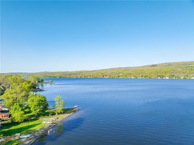 5717 Sunset Dr, Canadice, NY 14471 - photo 43