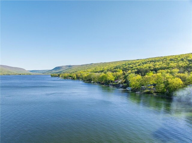 5717 Sunset Dr, Canadice, NY 14471 - photo 45
