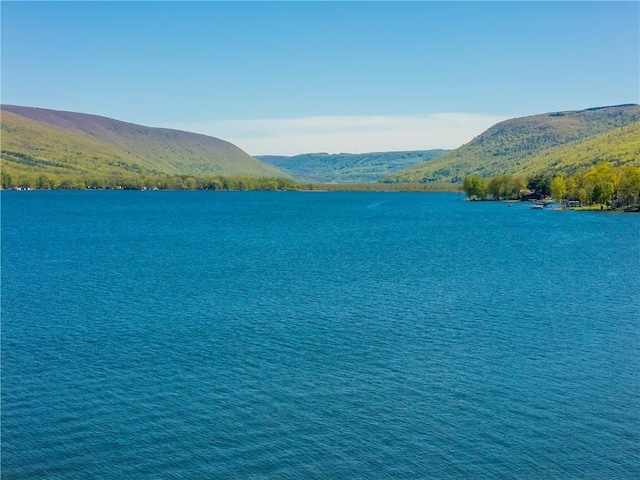 5717 Sunset Dr, Canadice, NY 14471 - photo 38