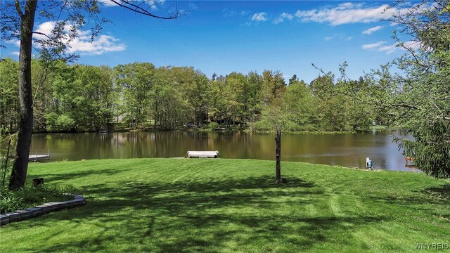 83 Little Lake Rd, Bennington, NY 14004 - photo 3