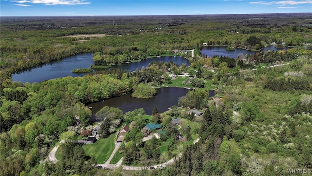 83 Little Lake Rd, Bennington, NY 14004 - photo 8