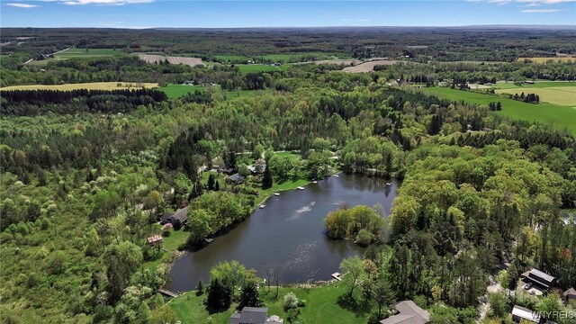 83 Little Lake Rd, Bennington, NY 14004 - photo 7