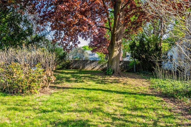 view of yard