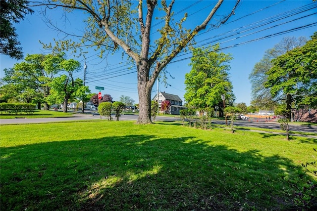 view of green lawn