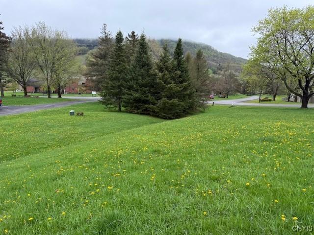 2128 Beta Dr Unit 21E, Virgil, NY 13045 - view of community featuring a yard and a mountain view