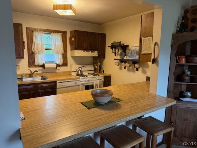 2128 Beta Dr Unit 21E, Virgil, NY 13045 - kitchen with a sink, white appliances, under cabinet range hood, a breakfast bar area, and light countertops