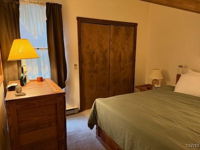 2128 Beta Dr Unit 21E, Virgil, NY 13045 - bedroom with carpet, a baseboard radiator, and a closet