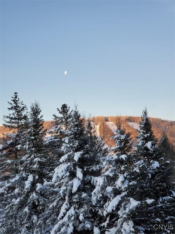 2128 Beta Dr Unit 21E, Virgil, NY 13045 - view of snowy landscape
