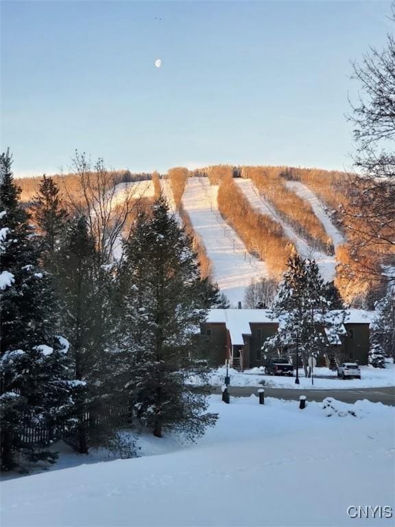 2128 Beta Dr Unit 21E, Virgil, NY 13045 - view of mountain backdrop
