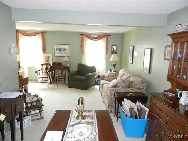 carpeted living room featuring healthy amount of natural light