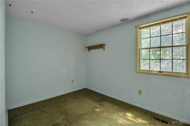5051 Overlook Pt, Hamburg, NY 14075 - photo 33