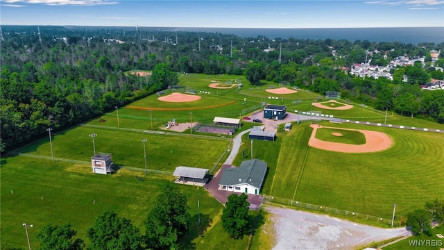 5051 Overlook Pt, Hamburg, NY 14075 - photo 50