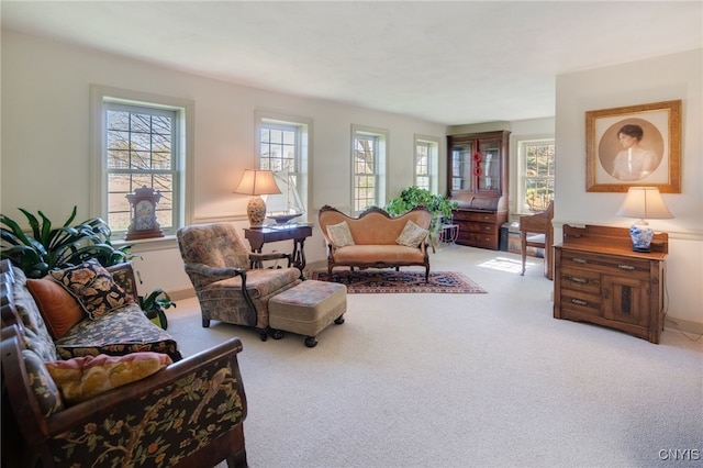 437 Mclean Rd, Cortlandville, NY 13045 - photo 19