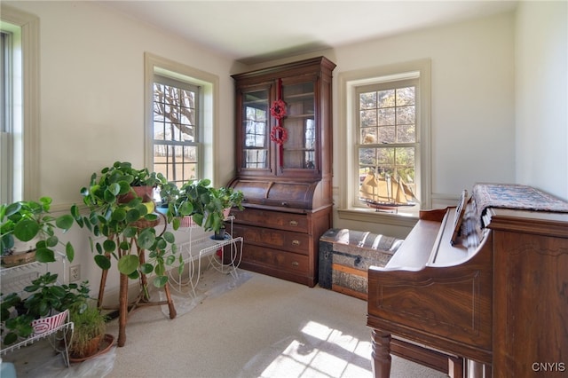 437 Mclean Rd, Cortlandville, NY 13045 - photo 20