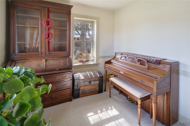 437 Mclean Rd, Cortlandville, NY 13045 - photo 21