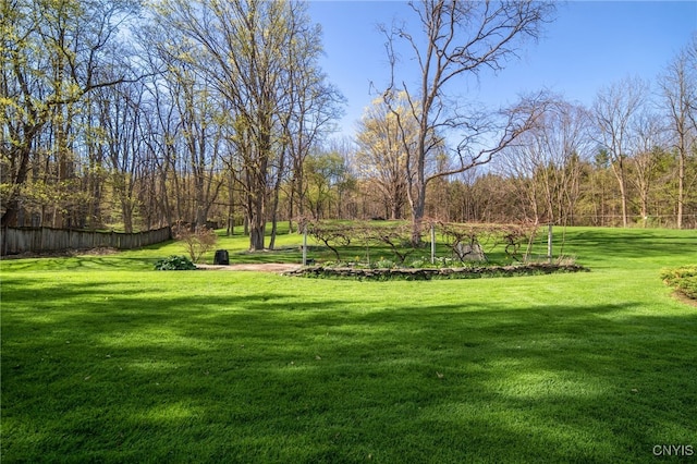 437 Mclean Rd, Cortlandville, NY 13045 - photo 45