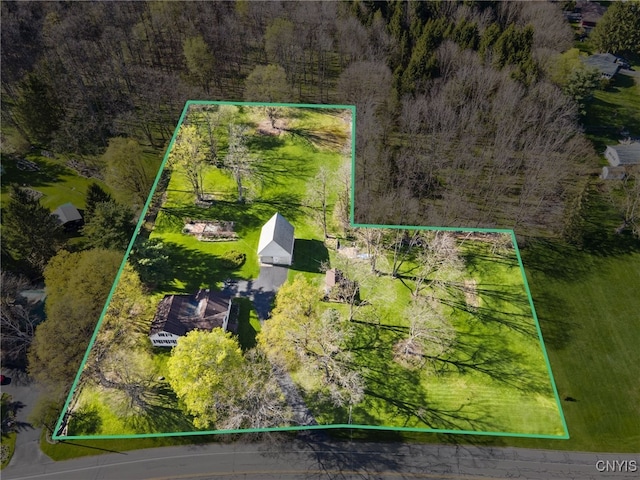 437 Mclean Rd, Cortlandville, NY 13045 - photo 50